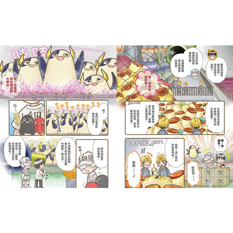 繪本工作細胞6天降奇兵！乳酸菌與害菌大亂鬥